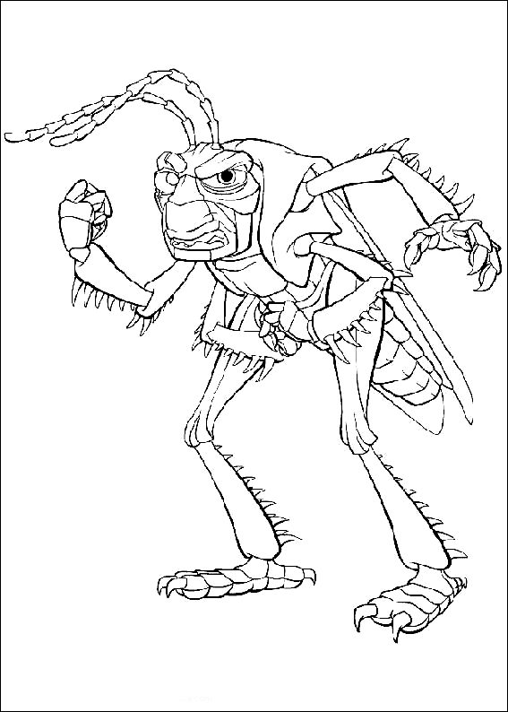 Coloring Page Locust