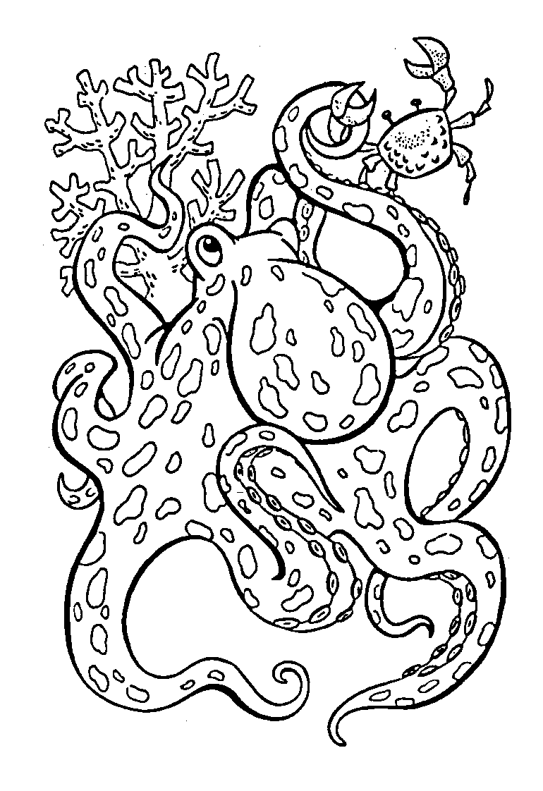 Coloring page   Big Octopus