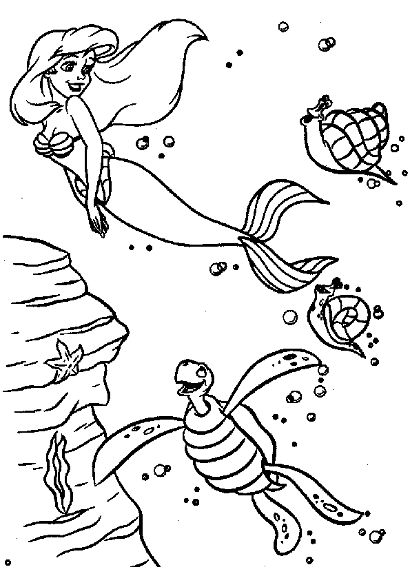 a turtle tale coloring pages - photo #33