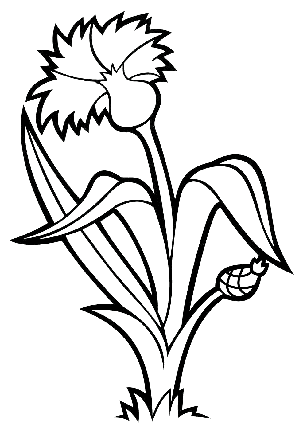 Coloring page   cornflower