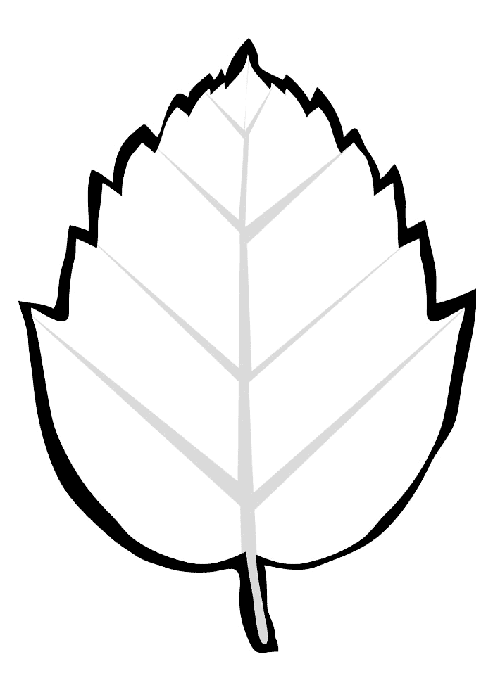Coloring page - Tree leaf