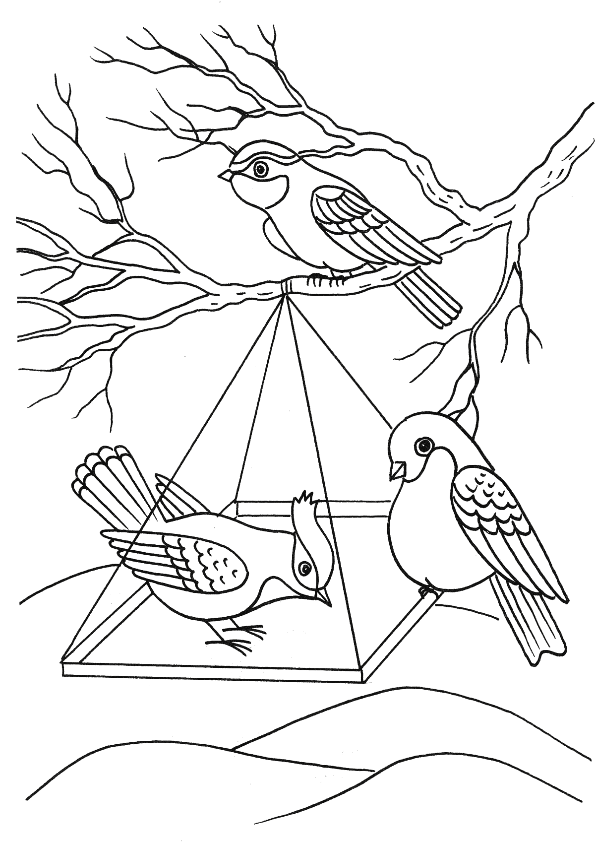 Coloring page - Birds in a feeder