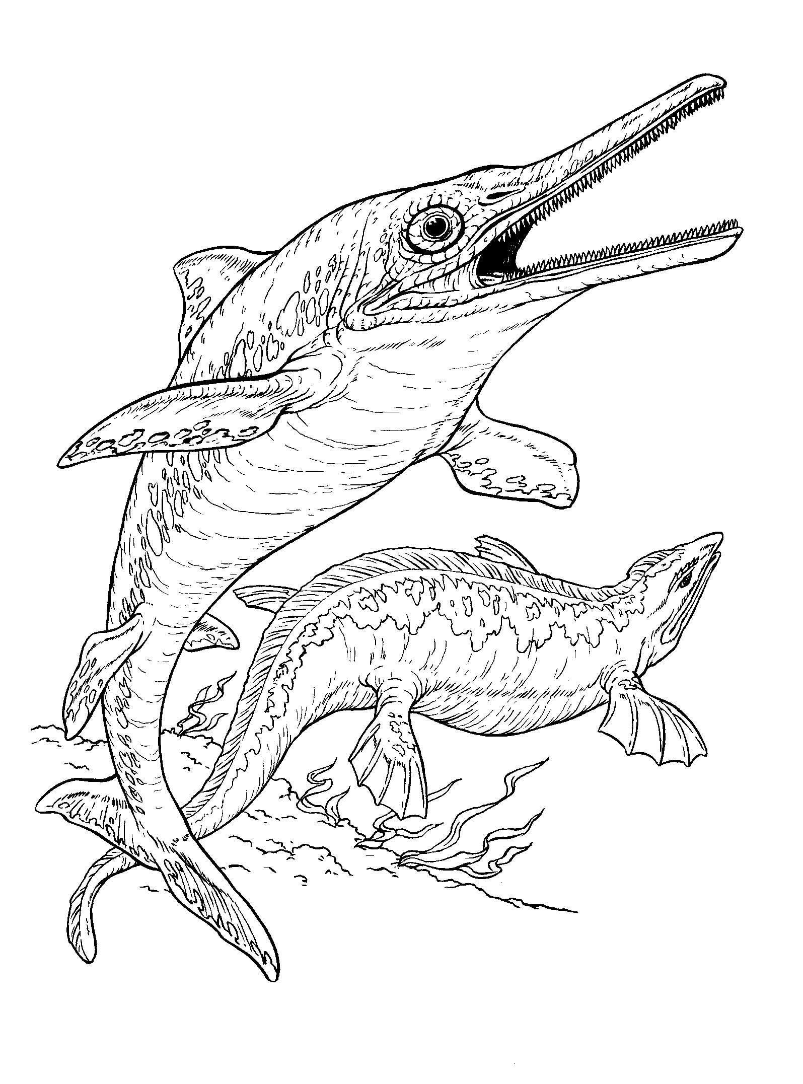 Coloring page - Ichthyosaur and plesiosaur