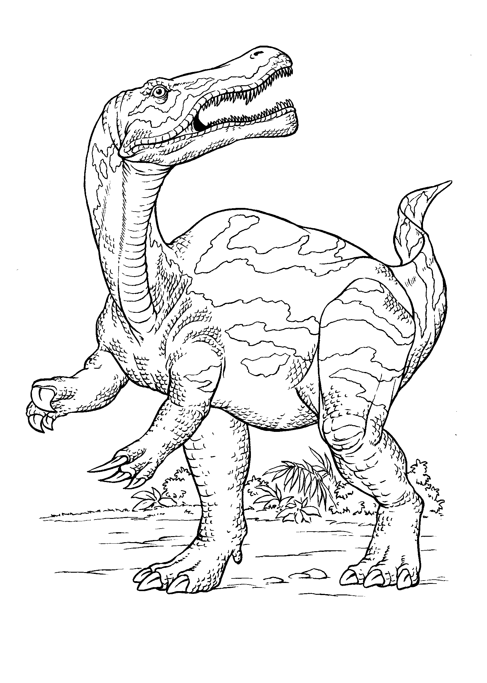 Coloring page - Dinosaur hunting