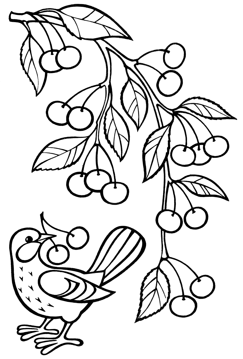 Coloring page - A branch with cherries