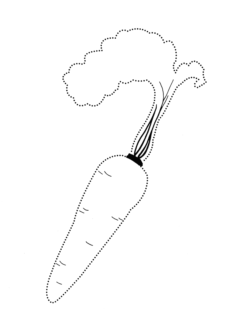 Coloring page - Carrot