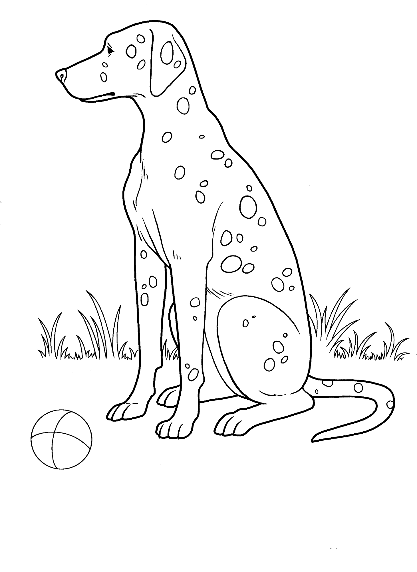 Coloring Page Spotted Dog