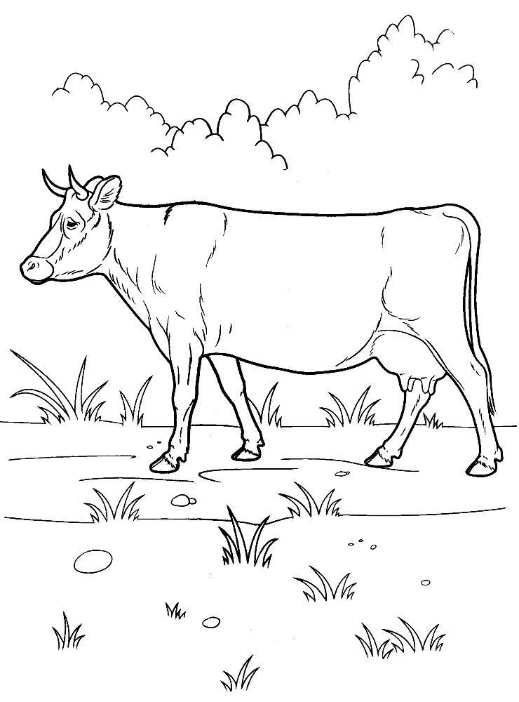 Coloring page - Cow on a walk