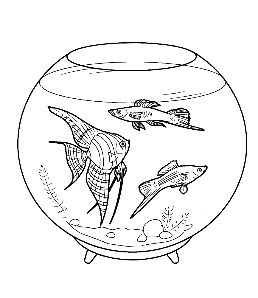 Coloring page - Aquarium fish