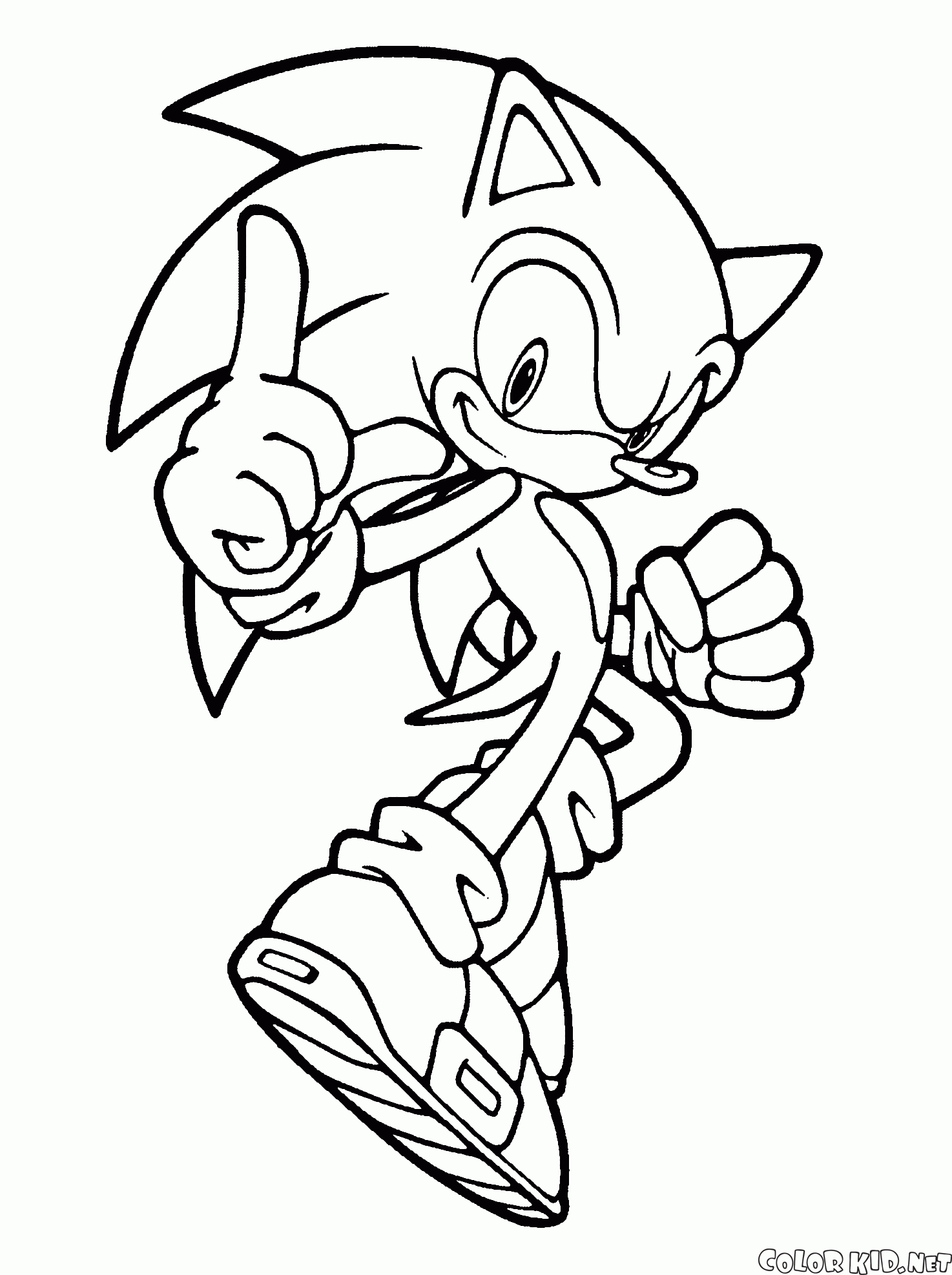 Coloring page - Sonic X and Cheese the Chao