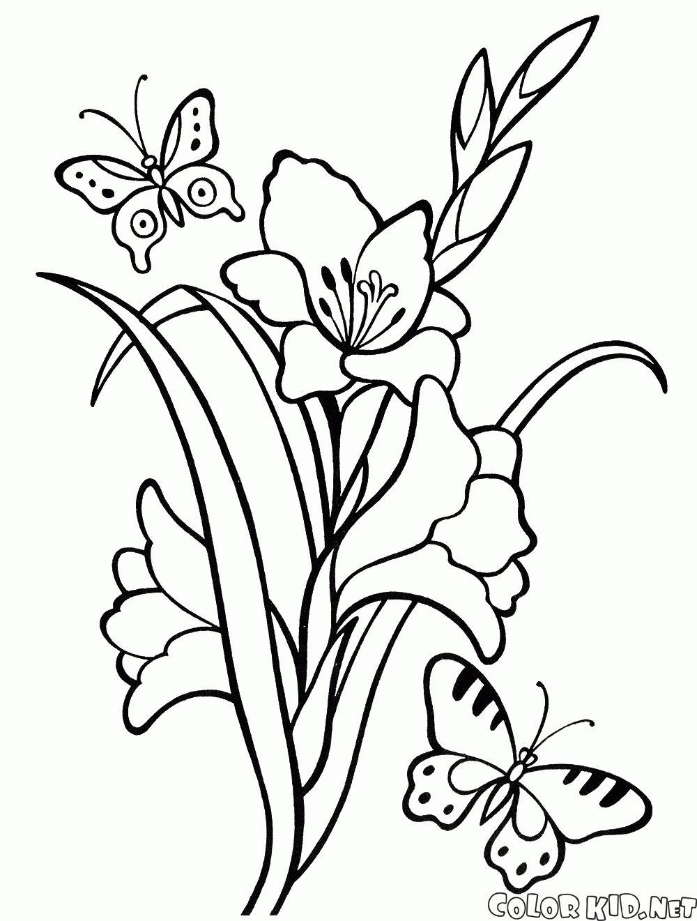 young children coloring pages - photo #39
