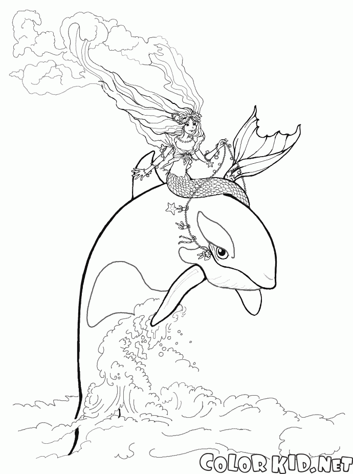 coloring page  barbie mermaid and dolphin
