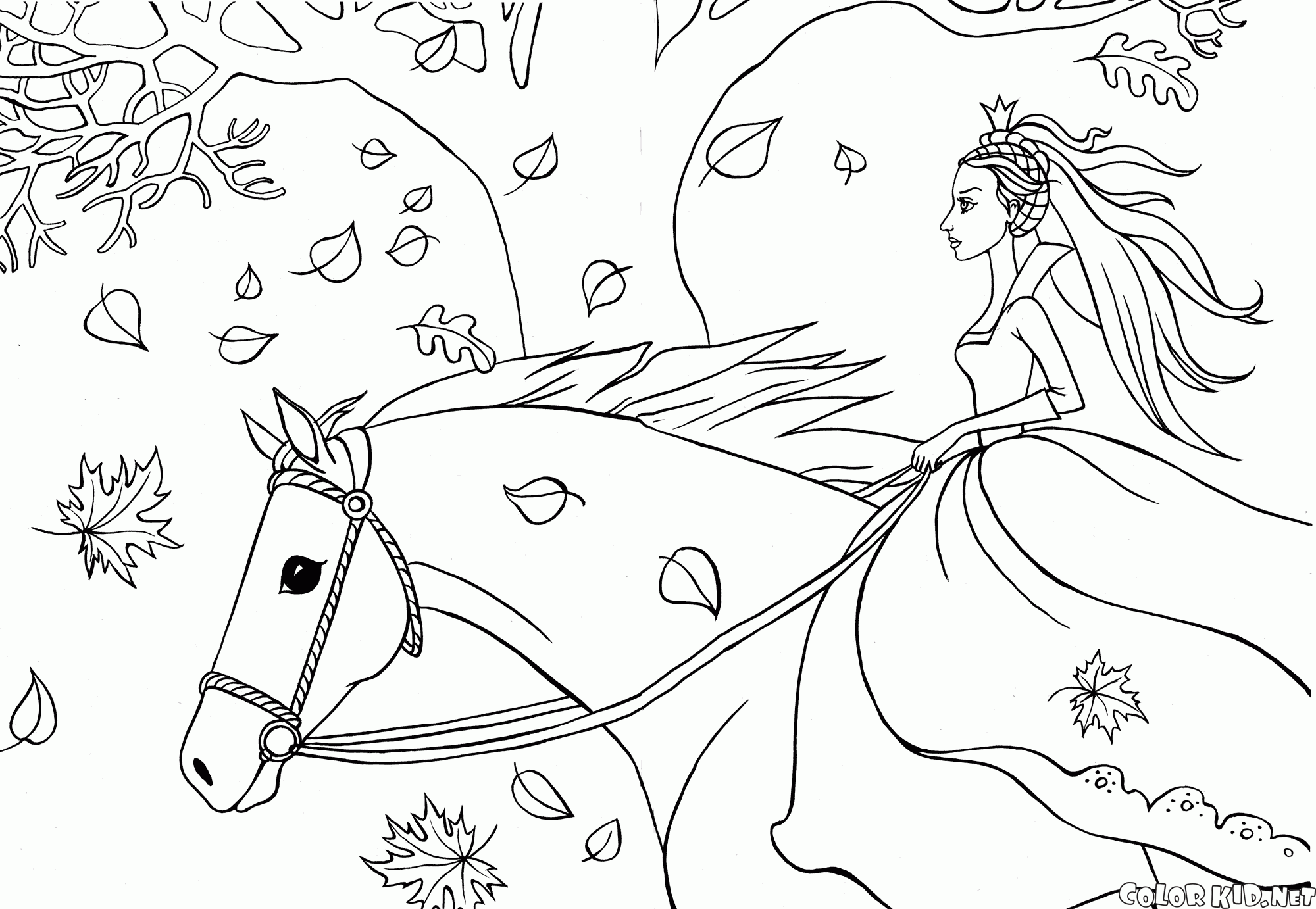 Coloring page - HORSE RIDING