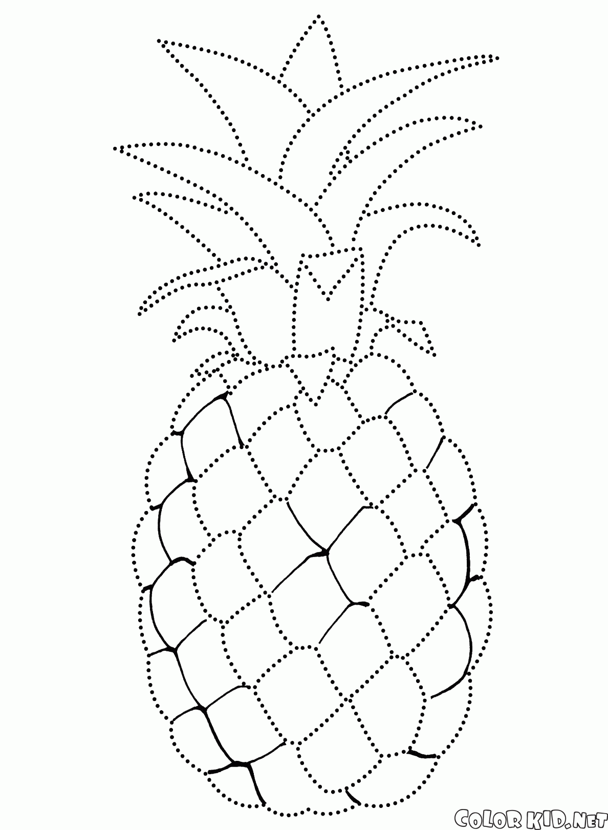 Coloring Page Pineapple Coloring Page Pineapple