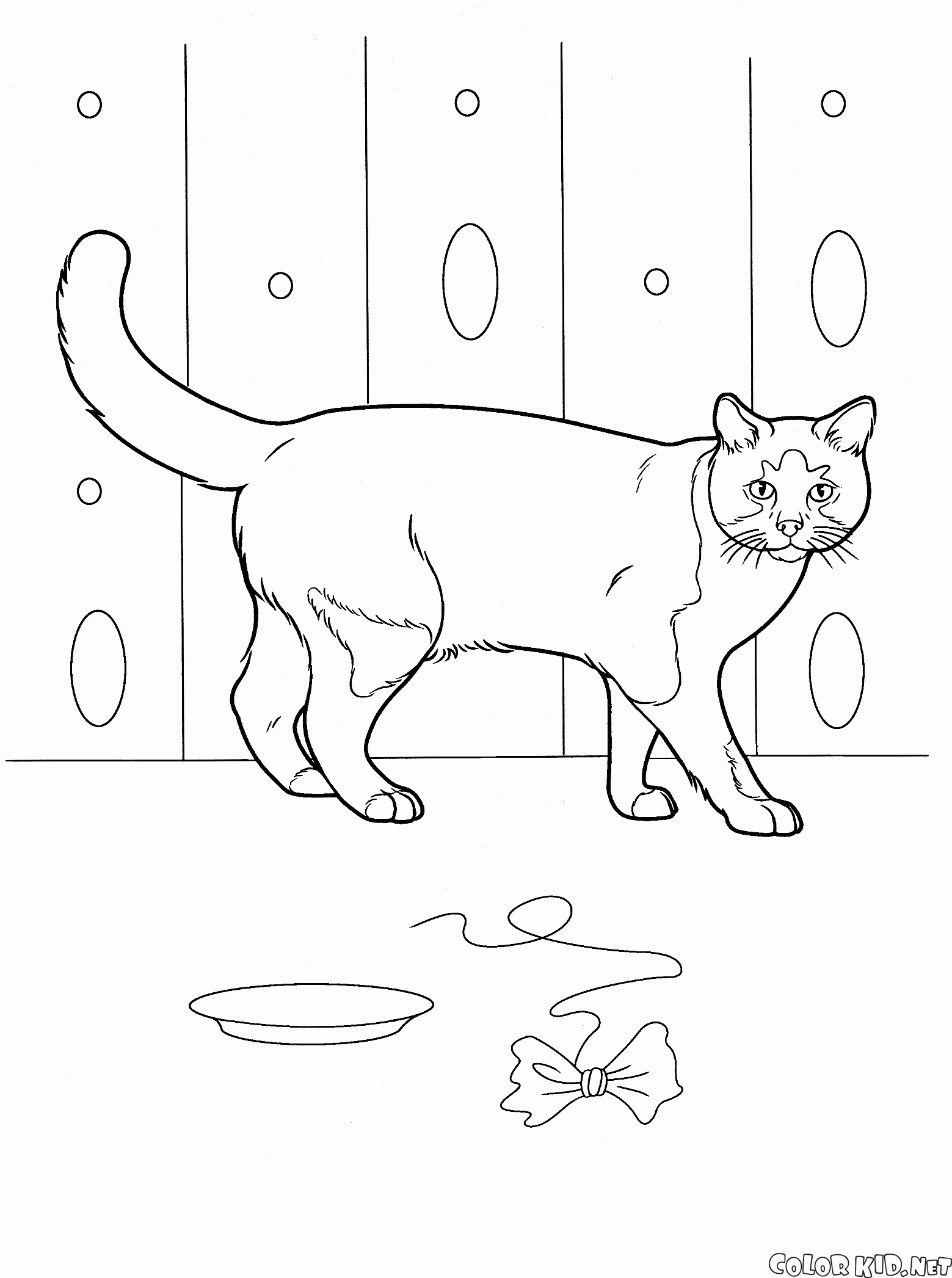 Coloring page - Domestic cat