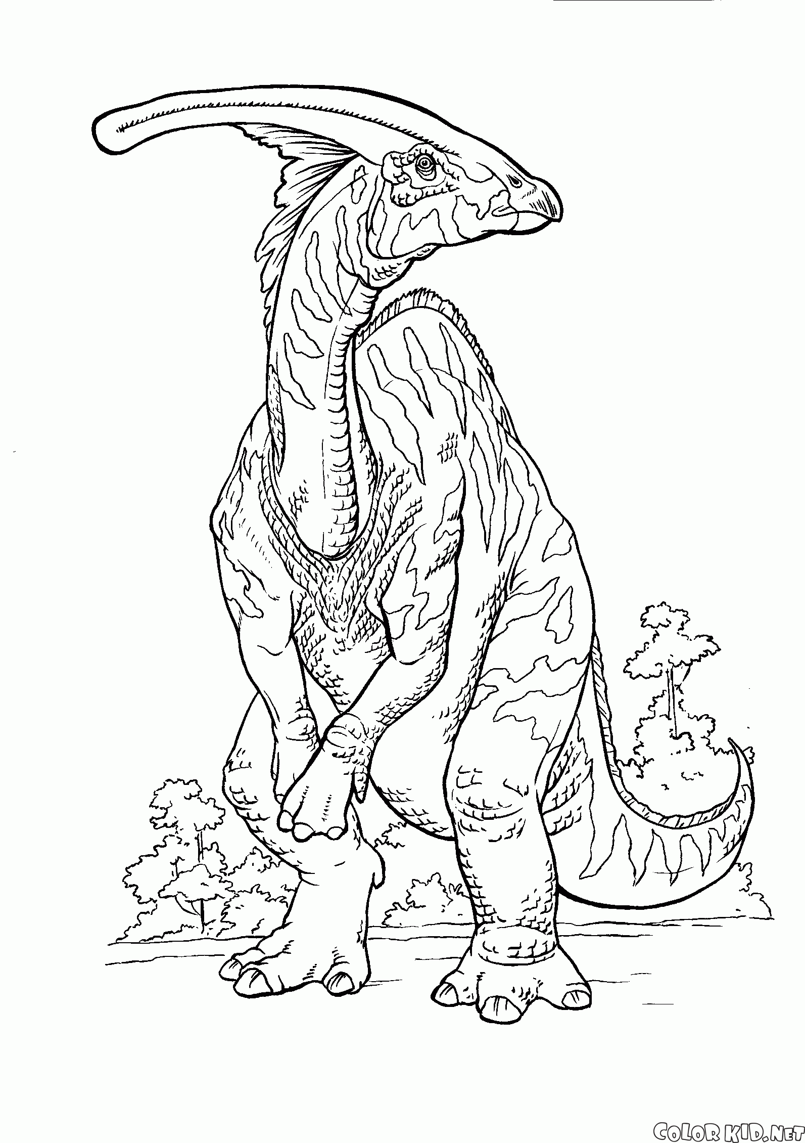 Coloring page - Dinosaurs