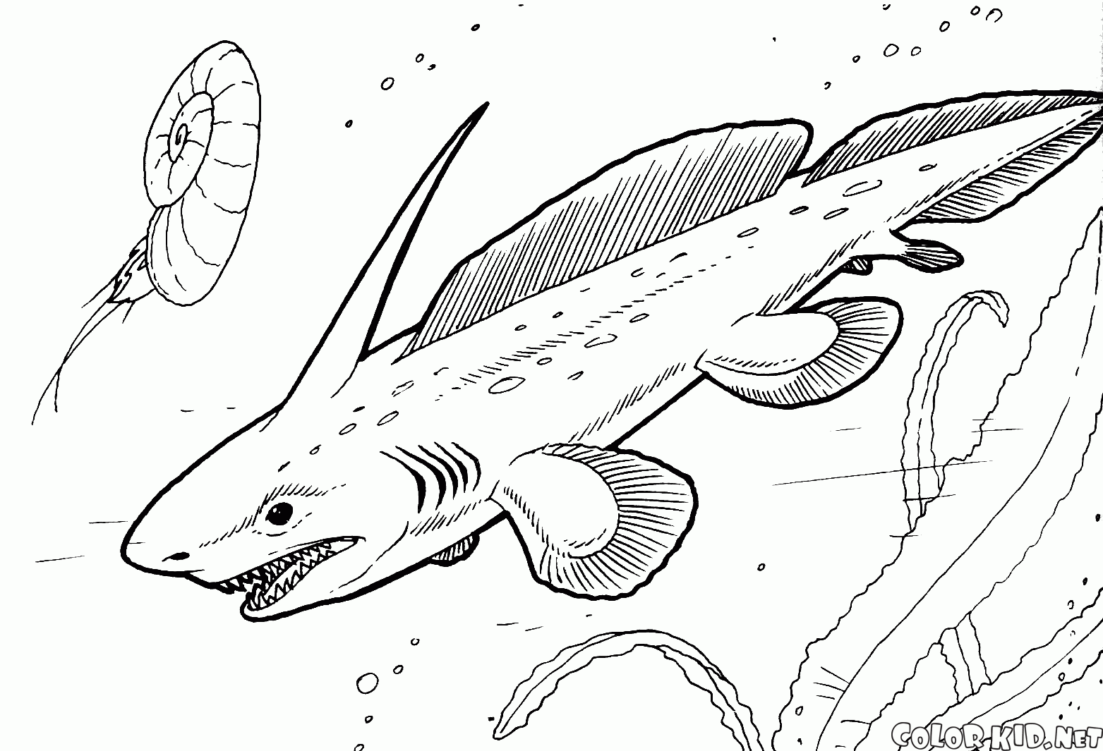 underwater dinosaurs coloring pages - photo #32