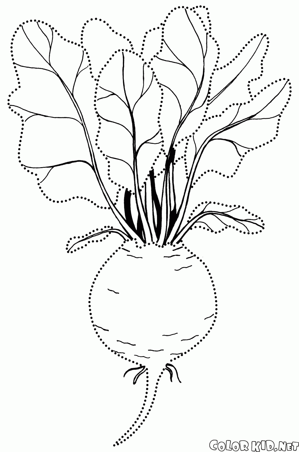 Coloring page - Vegetables