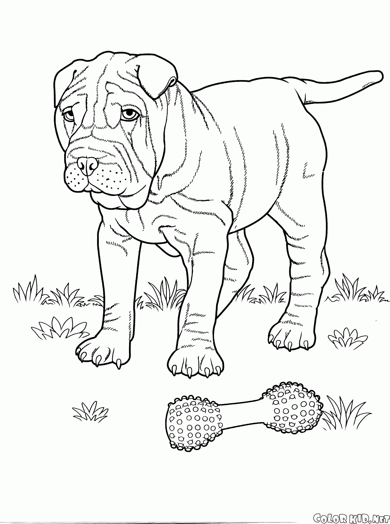 Coloring Page Dogs
