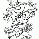 Coloring page - Knight Crusade