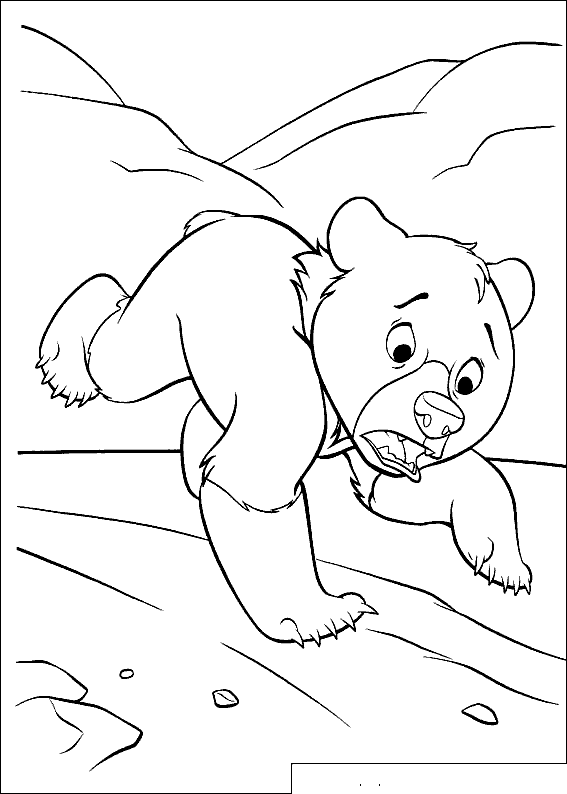 Coloring page - Little Bear