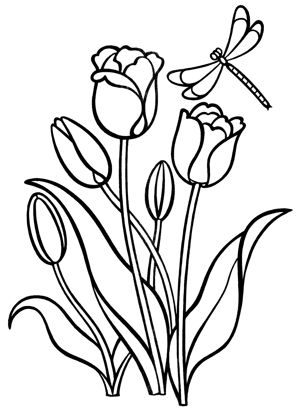 Coloring page - Tulips