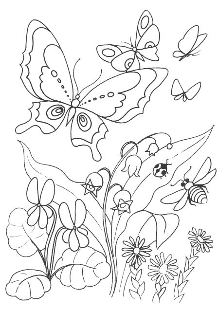 Download Coloring page - Lilies bloom