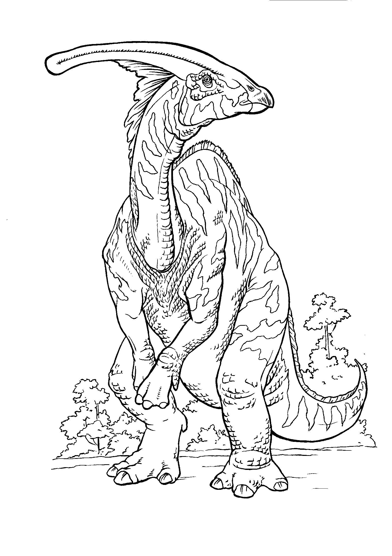 Coloring page   Parasaurolophus