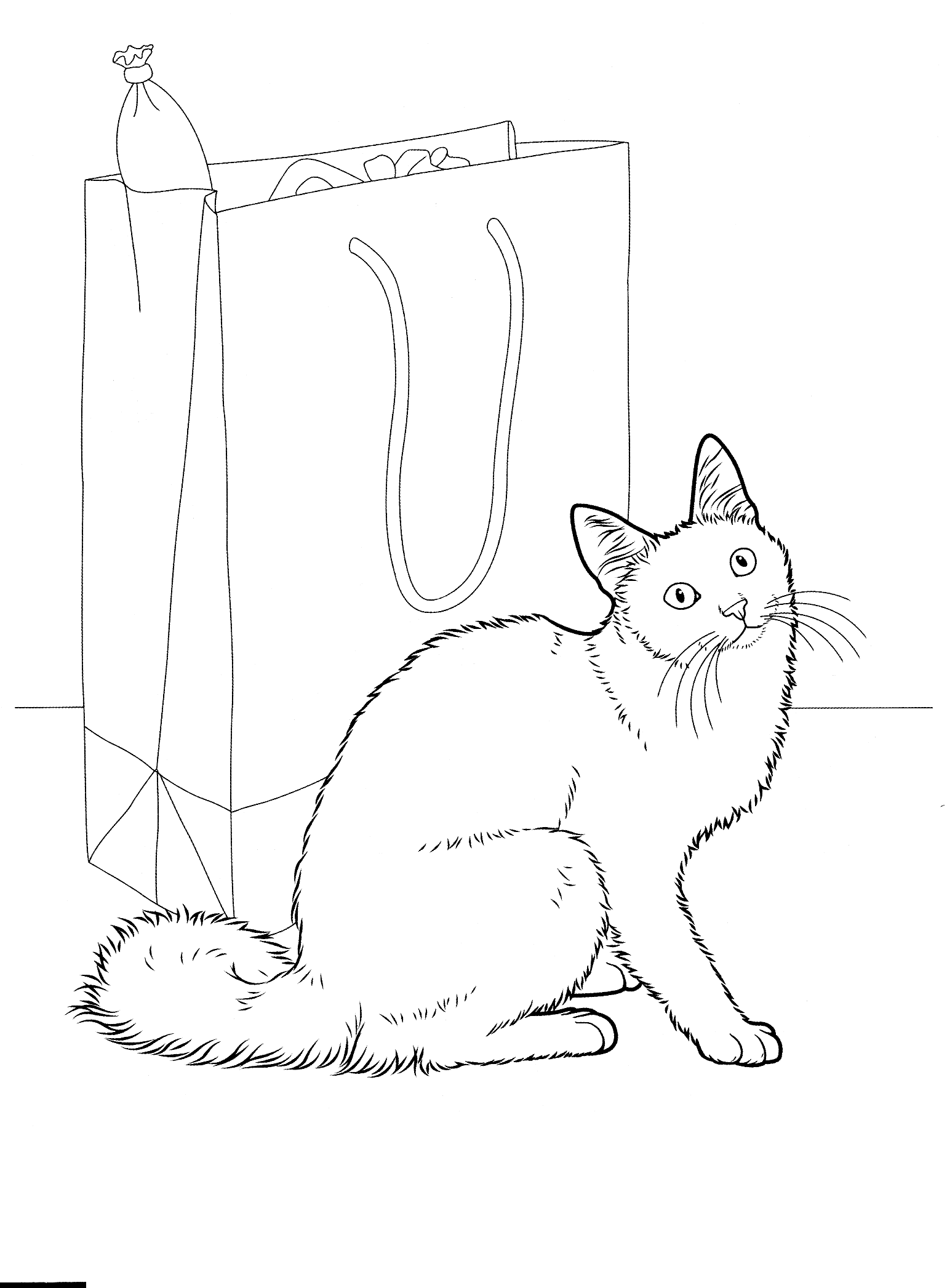 Coloring page - Angora cat