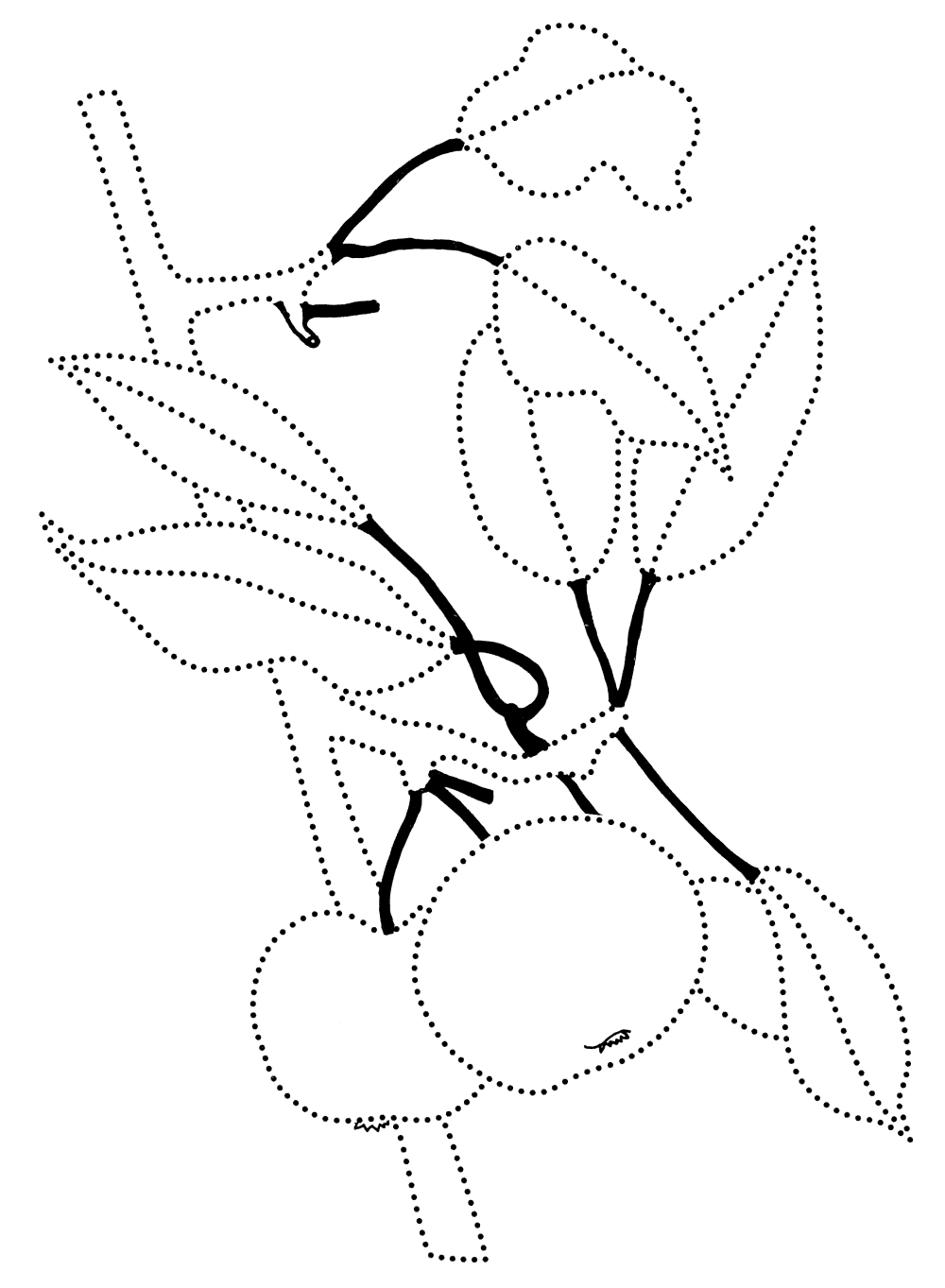 Coloring page - Apple tree branch