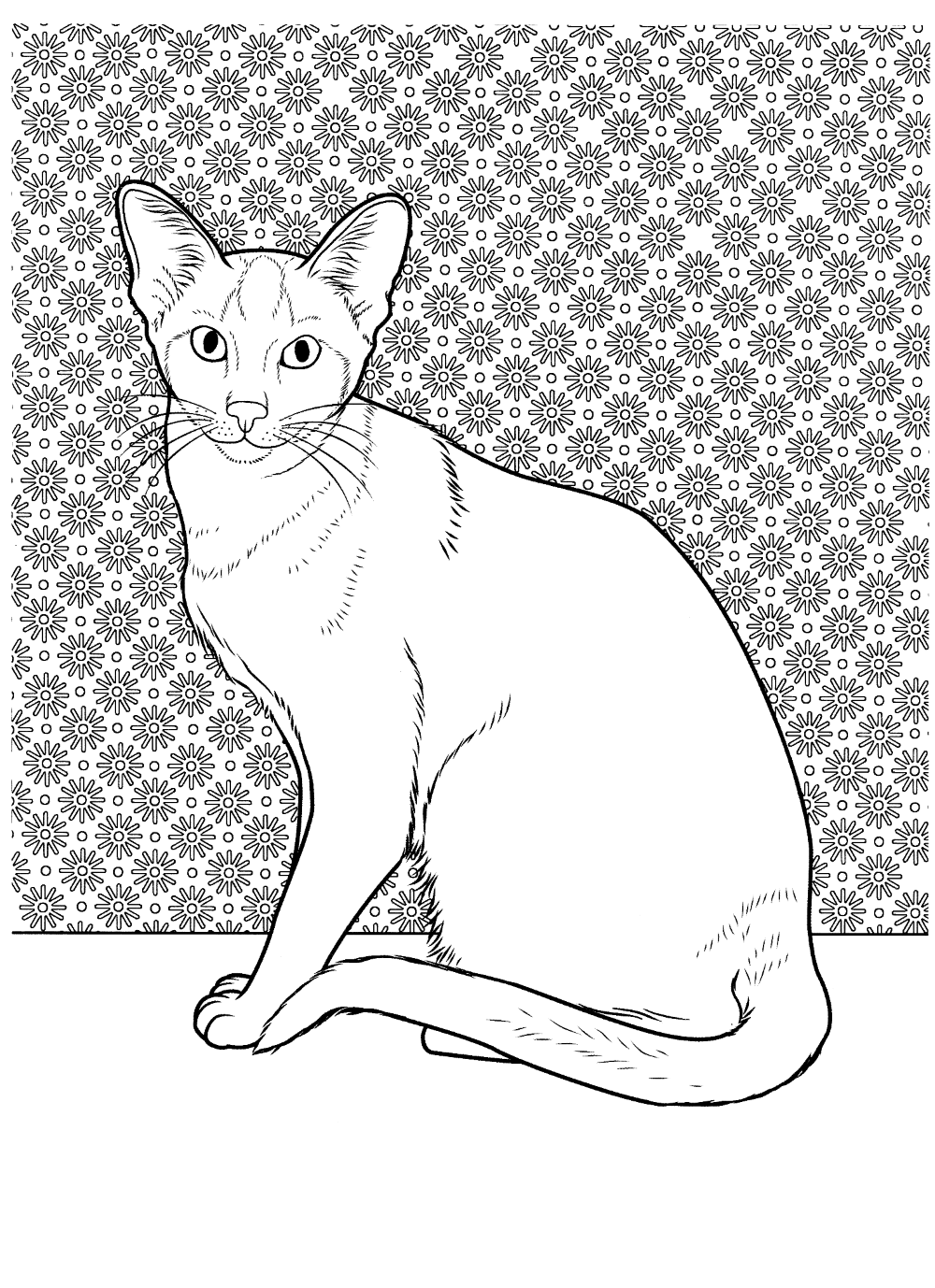 Coloring Page Siamese Cat