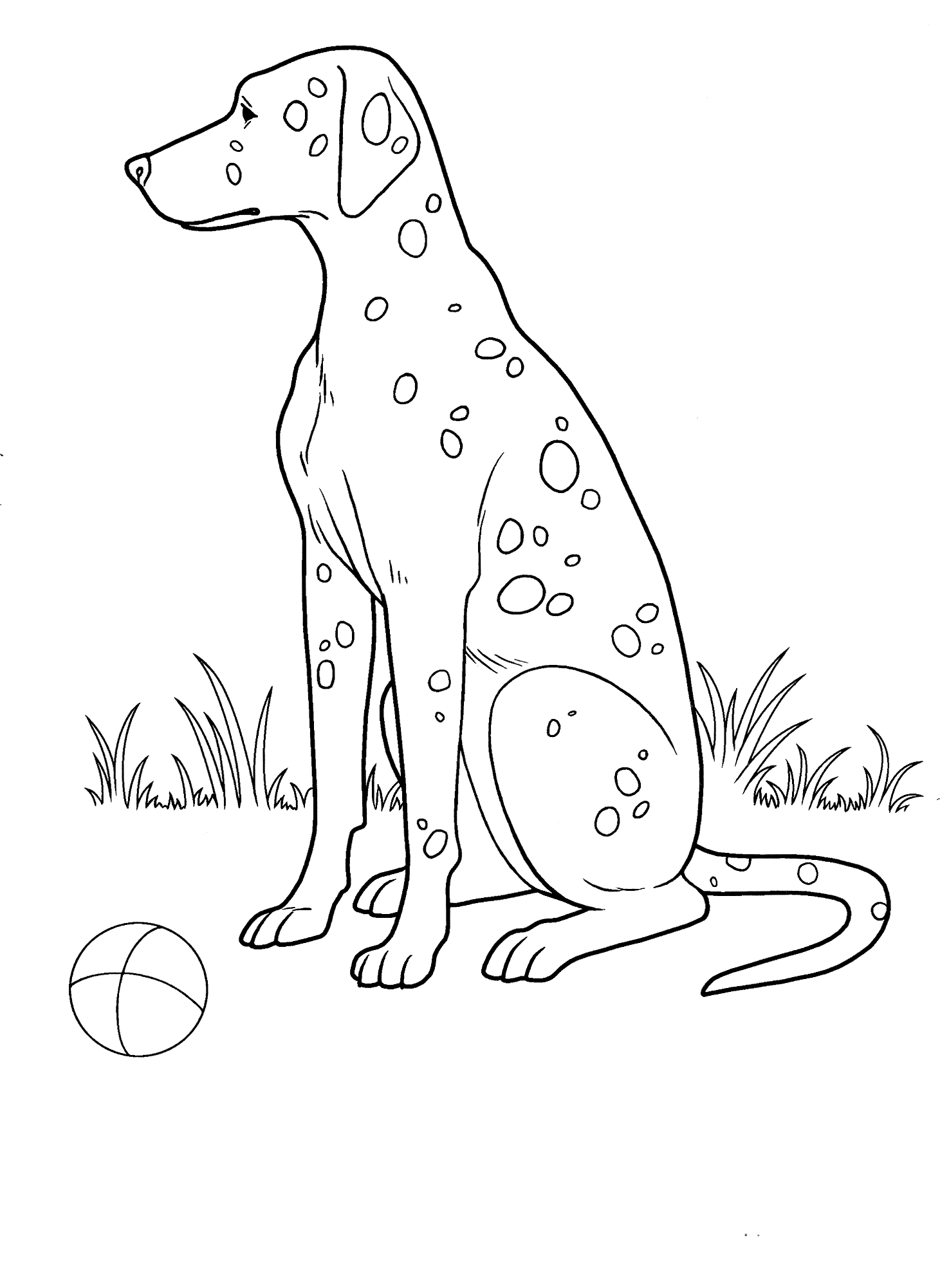 Coloring page - Spotted dog
