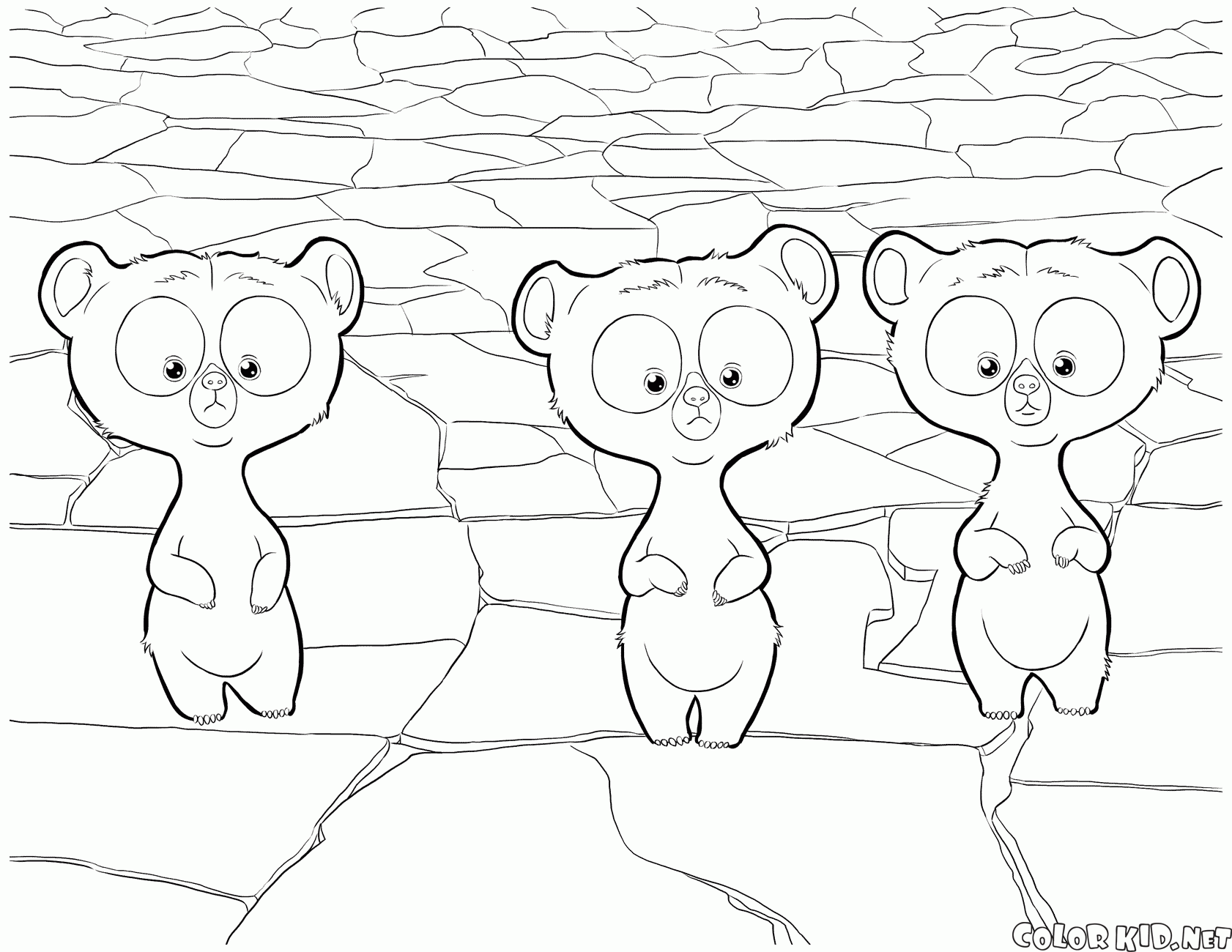 The triplets have become bear cubs
