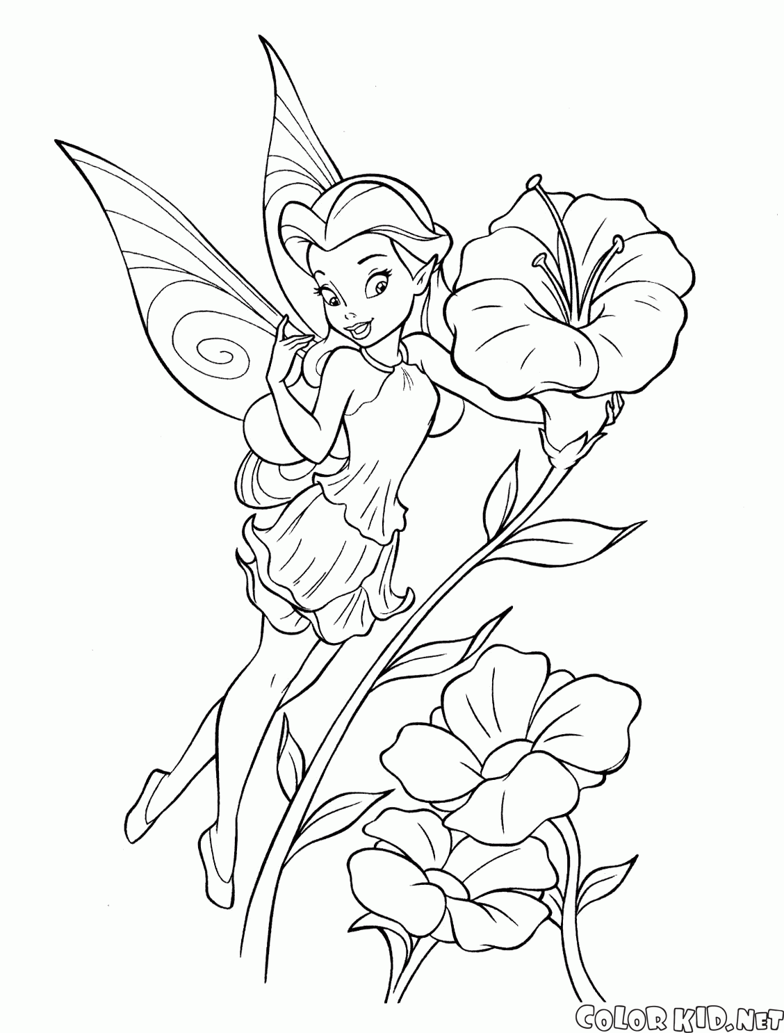 Garden fairy Rosetta