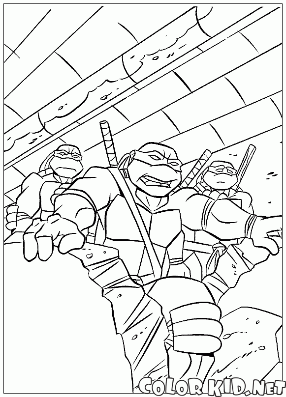 Turtles in the sewers