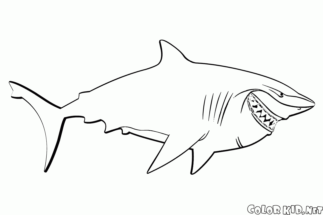 Bruce the Shark