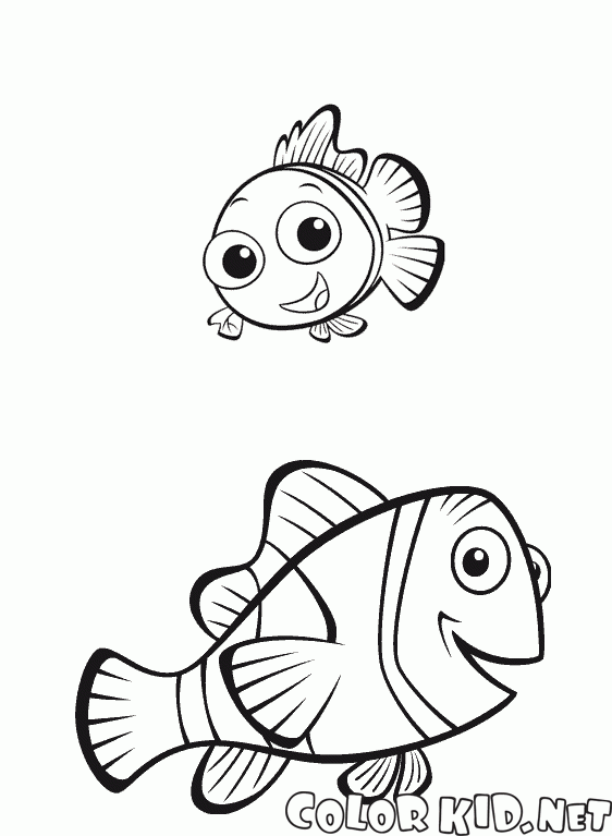 Nemo and his father