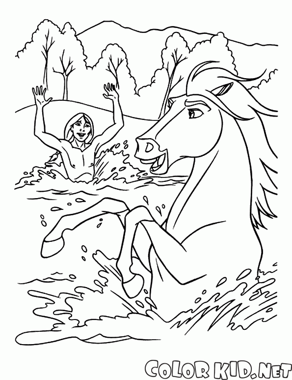 Bathing horse