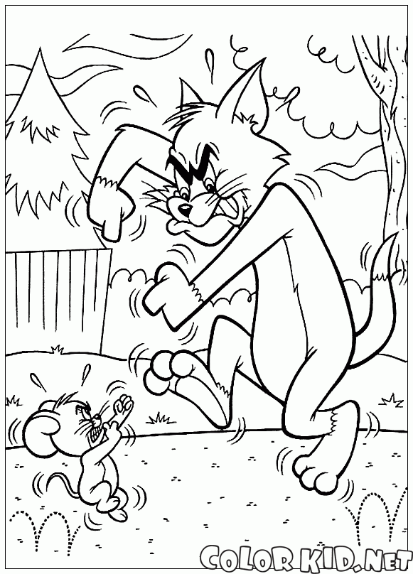 Sparring Tom and Jerry