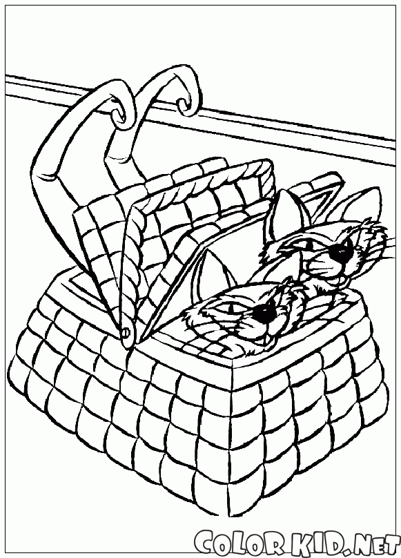 Cats in the basket