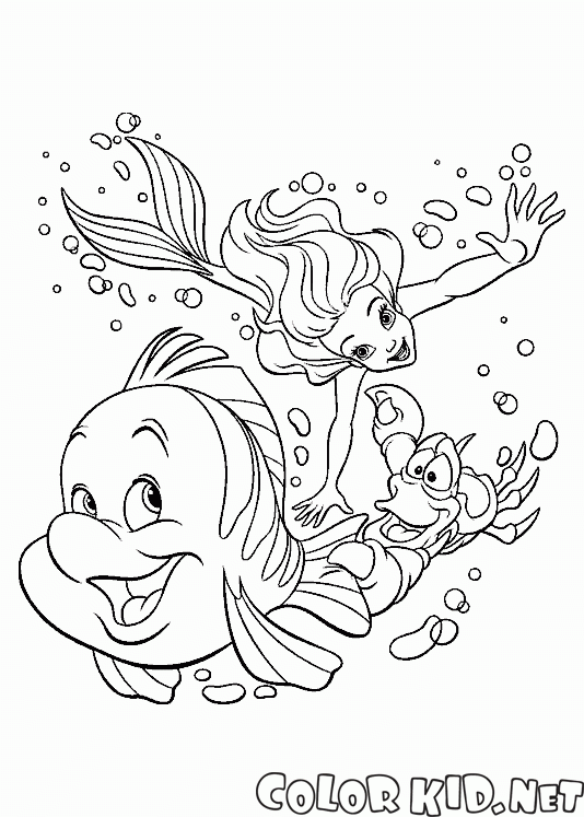 Flounder Sebastian and The Little Mermaid