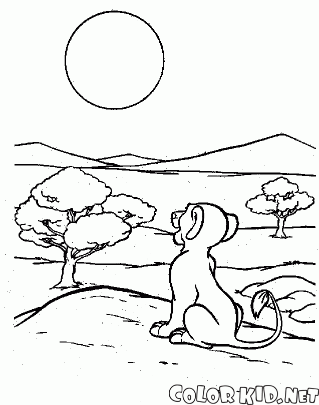 Simba and the sun
