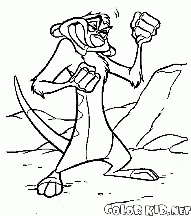 Timon learns to fight