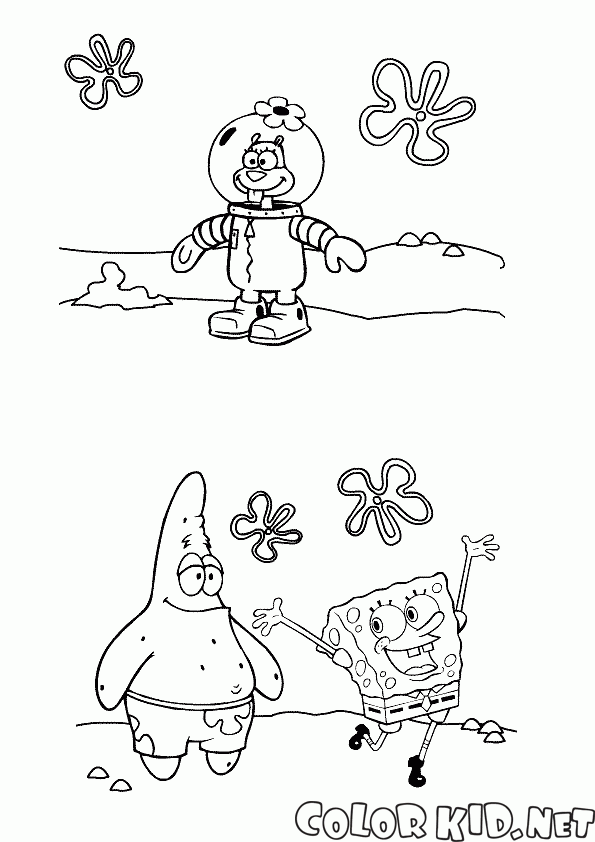 Friends Sponge Bob