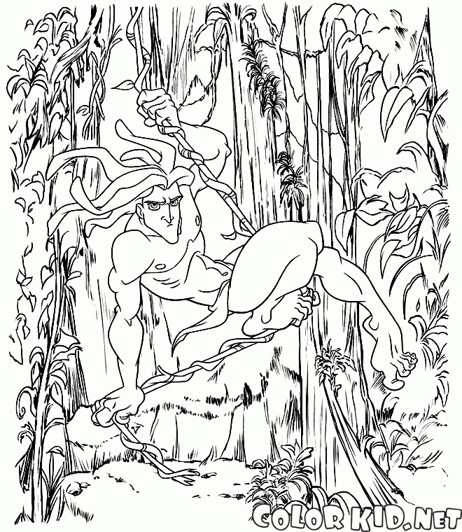 Tarzan on a vine