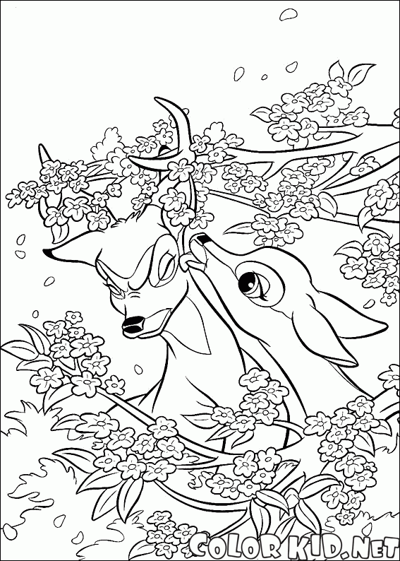 Bambi with a friend