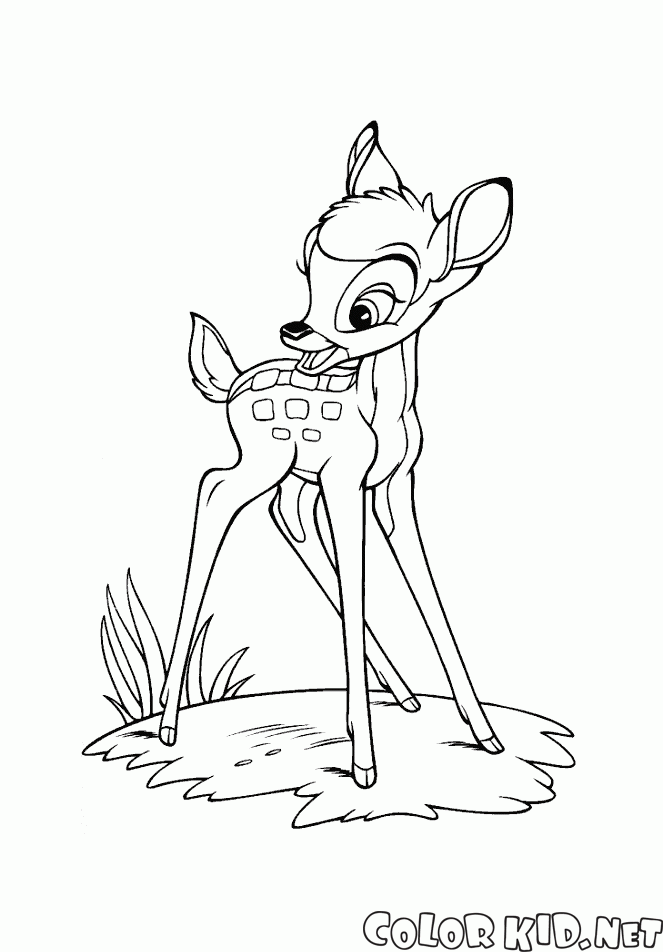 Bambi in the Meadow