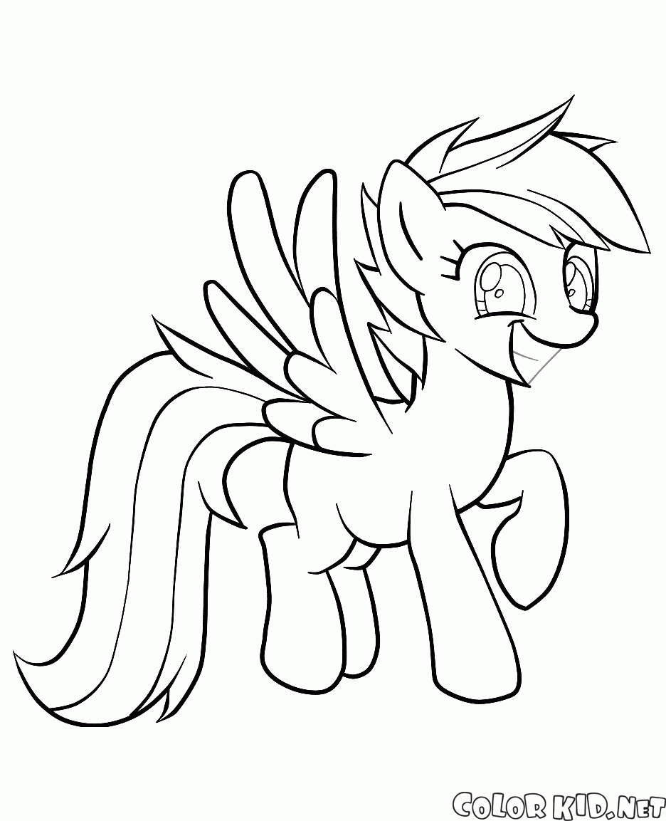 Pony with wings