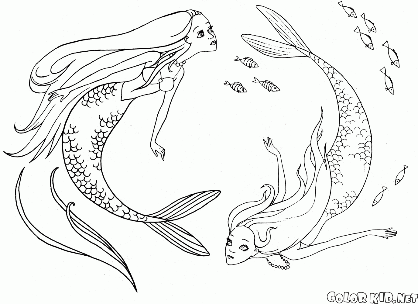 Mermaids swimming