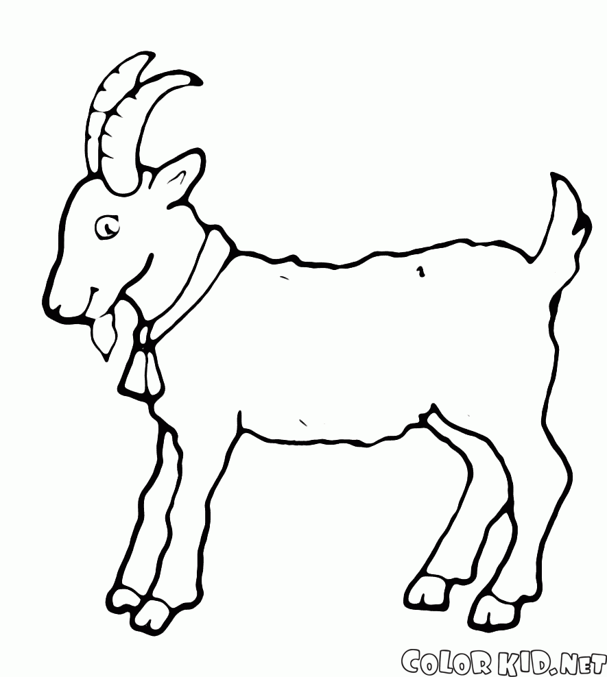Goat - a symbol of the year